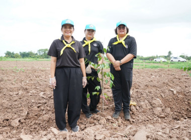 สำนักงานสหกรณ์จังหวัดสุโขทัย ... พารามิเตอร์รูปภาพ 8